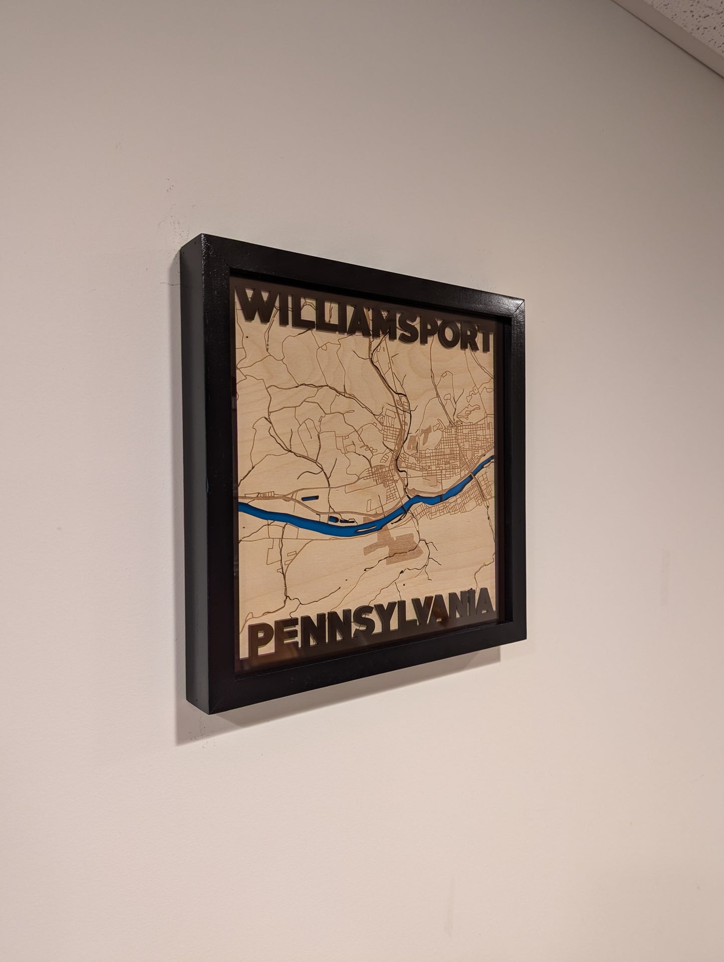 Williamsport, PA 3D Layered Laser Map, 12x12, Framed