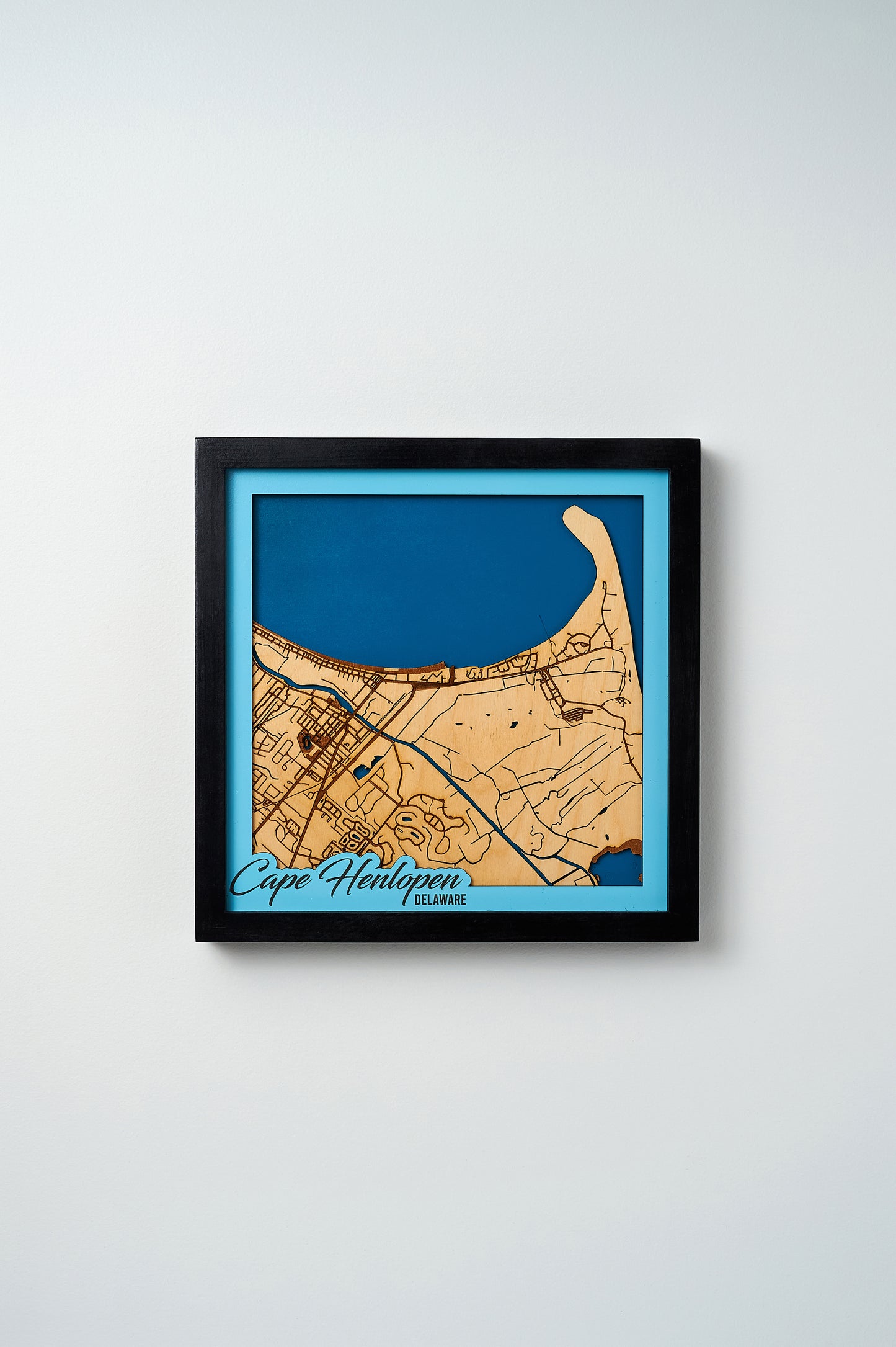 Lewes/Cape Henlopen State Park, DE 3D Layered Laser Map, 12x12, Framed