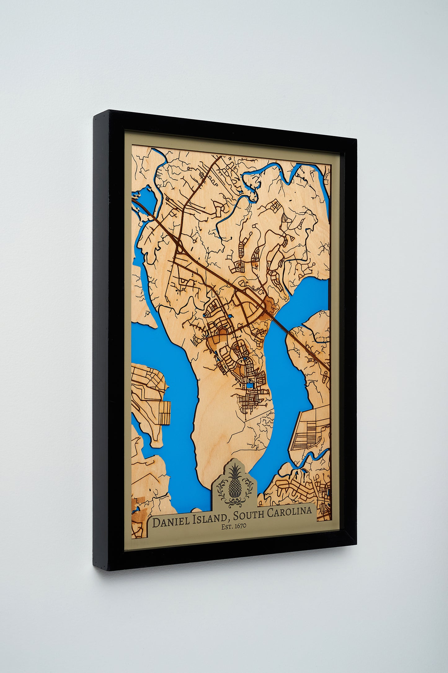 Daniel Island, SC 3D Layered Laser Map, 12x18, Framed – Ruck3D