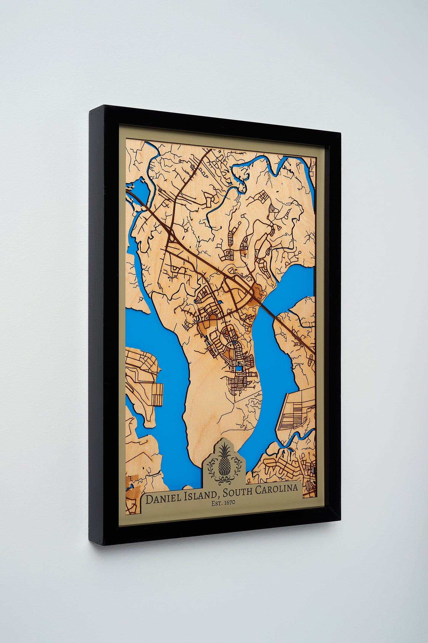 Daniel Island, SC 3D Layered Laser Map, 12x18, Framed